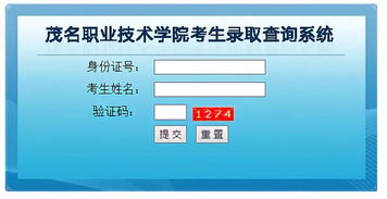 學(xué)考錄取結(jié)果陸續(xù)揭曉，信息技術(shù)咨詢(xún)服務(wù)助力考生把握未來(lái)